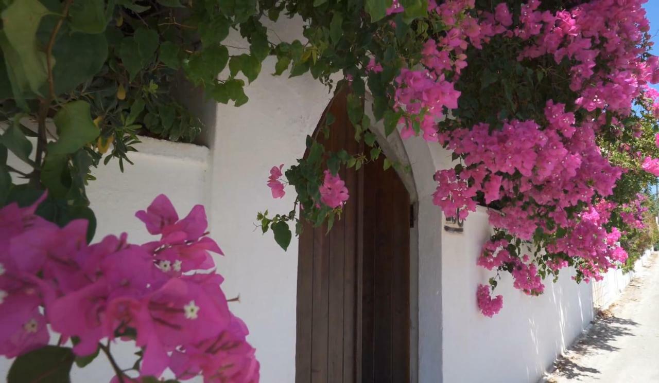 Alexiszorba Villa Plaka  Bagian luar foto